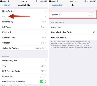 Cum să activați Type la Siri în iOS